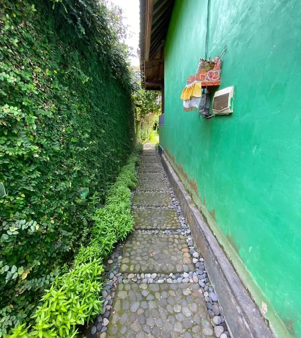 Pomelo Guest House Ubud Indonesia